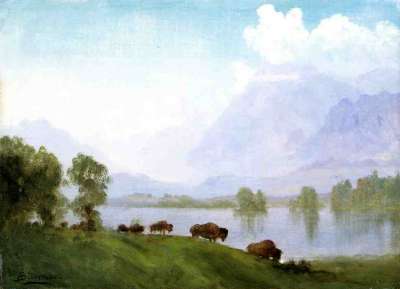 1740.jpg