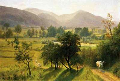 1748.jpg
