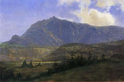 1772.jpg