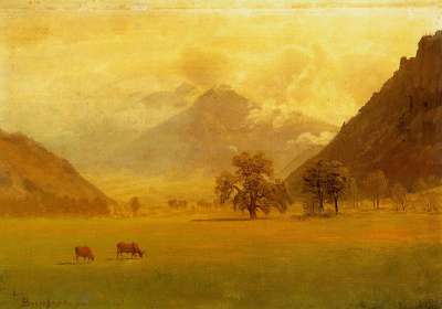 1806.jpg