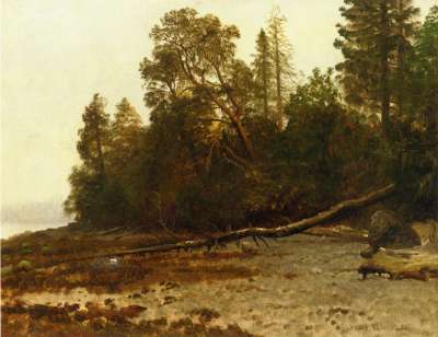1836.jpg