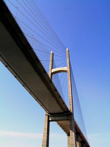 2729.jpg