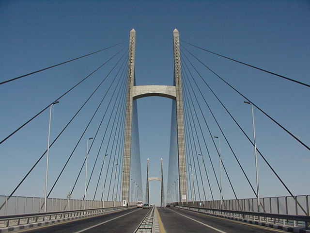 2732.jpg