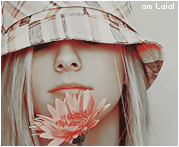 28.gif