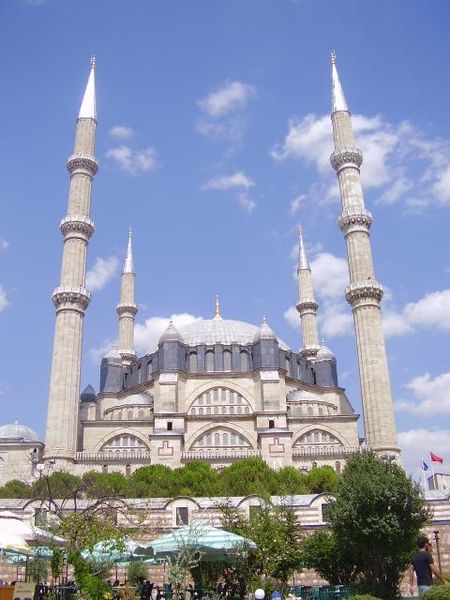 2875.jpg