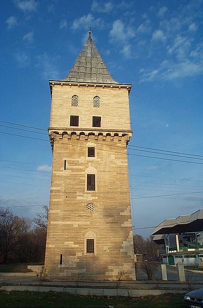 2876.jpg
