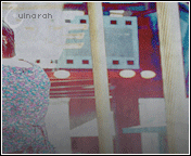 310.gif