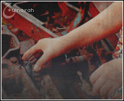 316.gif