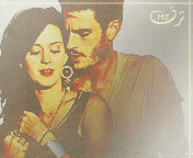 339.gif