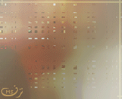 344.gif