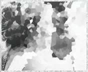 352.gif