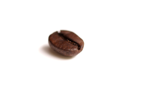 3554.jpg