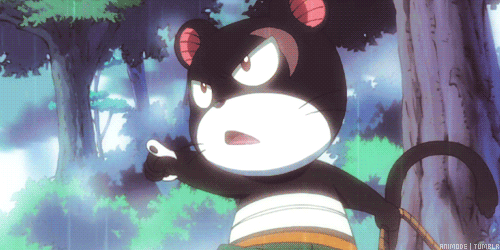425.gif
