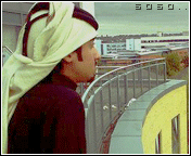54.gif