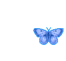 556.gif