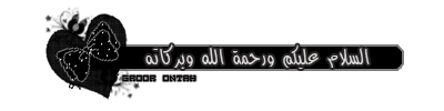 558.gif