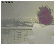 63.gif