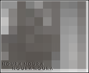 74.gif