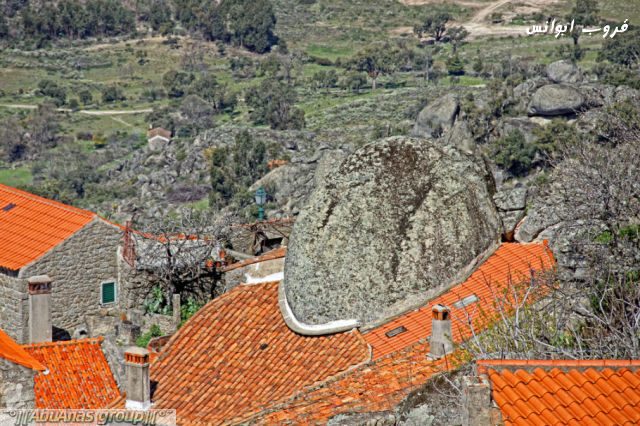 1710.jpg