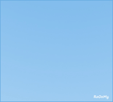 173.gif