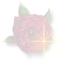 2665.jpg