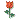304.gif