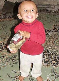 96.jpg
