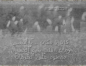 211.gif
