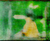 216.gif