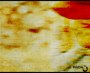 233.gif