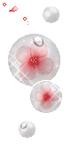 236.gif