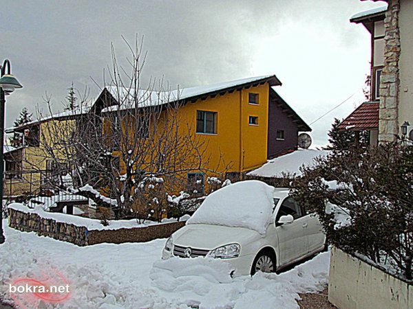 2914.jpg