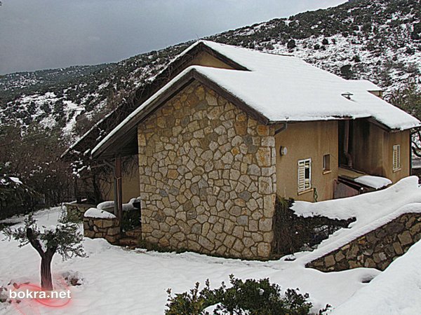 2935.jpg