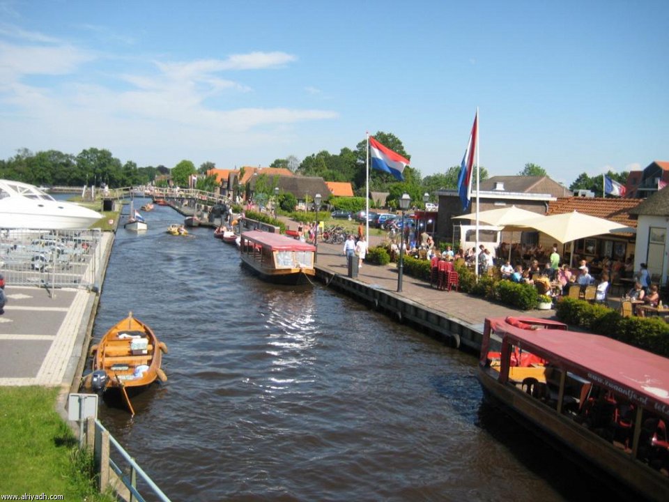 608.jpg