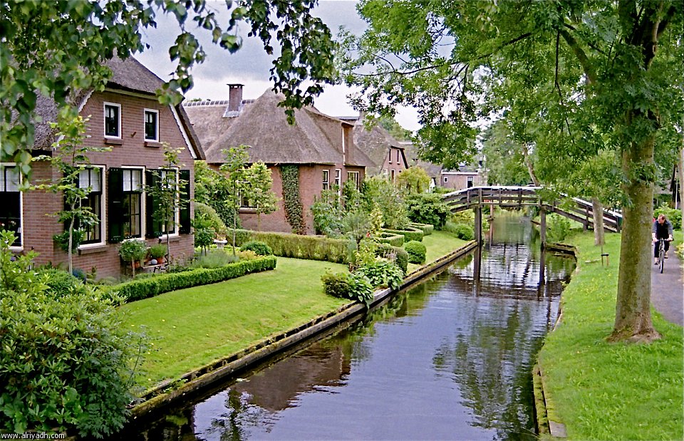 613.jpg