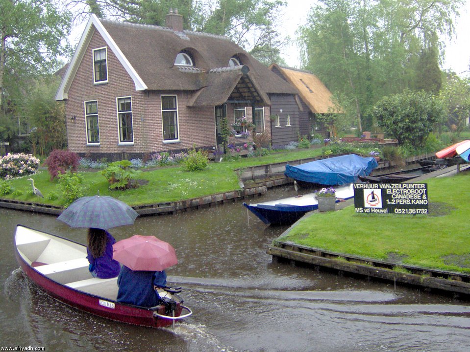 629.jpg
