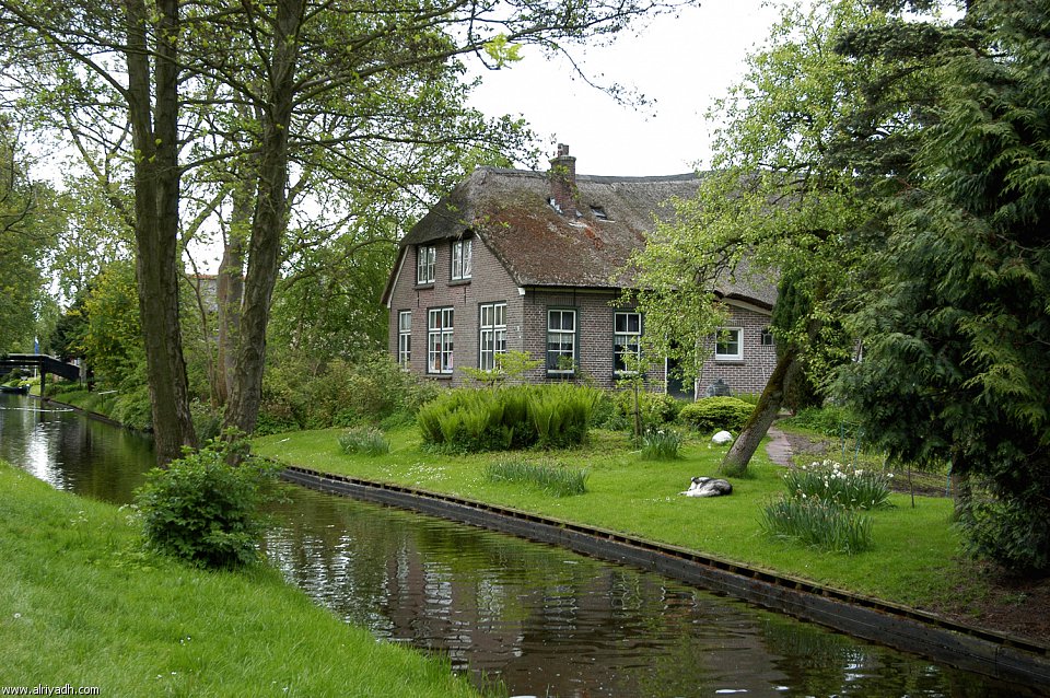 633.jpg