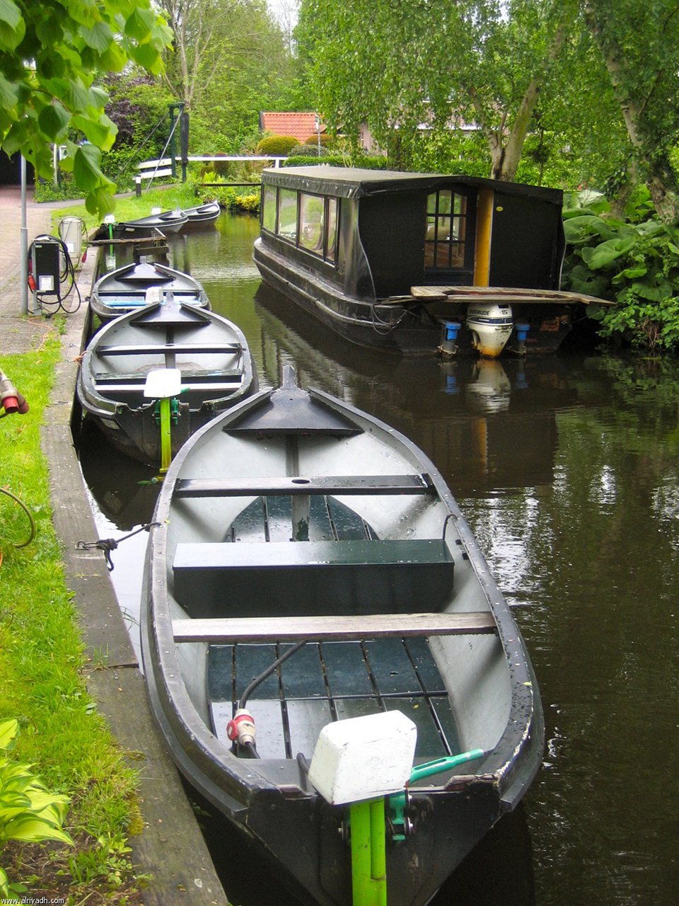 635.jpg