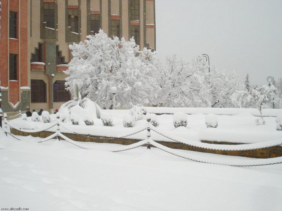 658.jpg