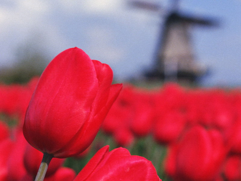 752.jpg