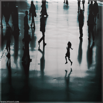11.gif