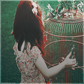 12.gif