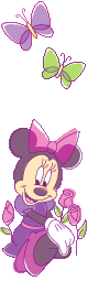 255.gif
