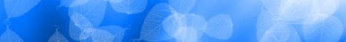 3.gif