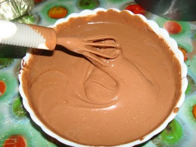 355.jpg