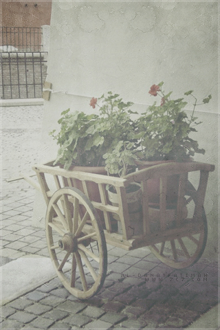 384.jpg