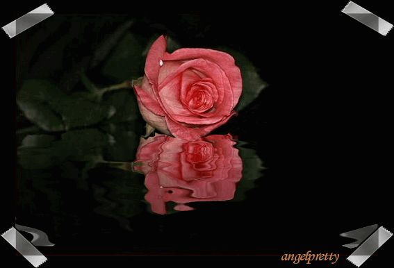 463.gif