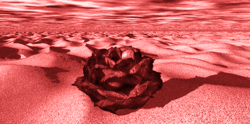 466.gif