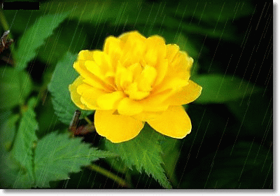 467.gif
