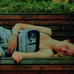 566.gif